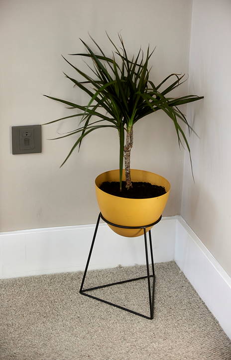 Barratt Developments 'Z' House - image 7